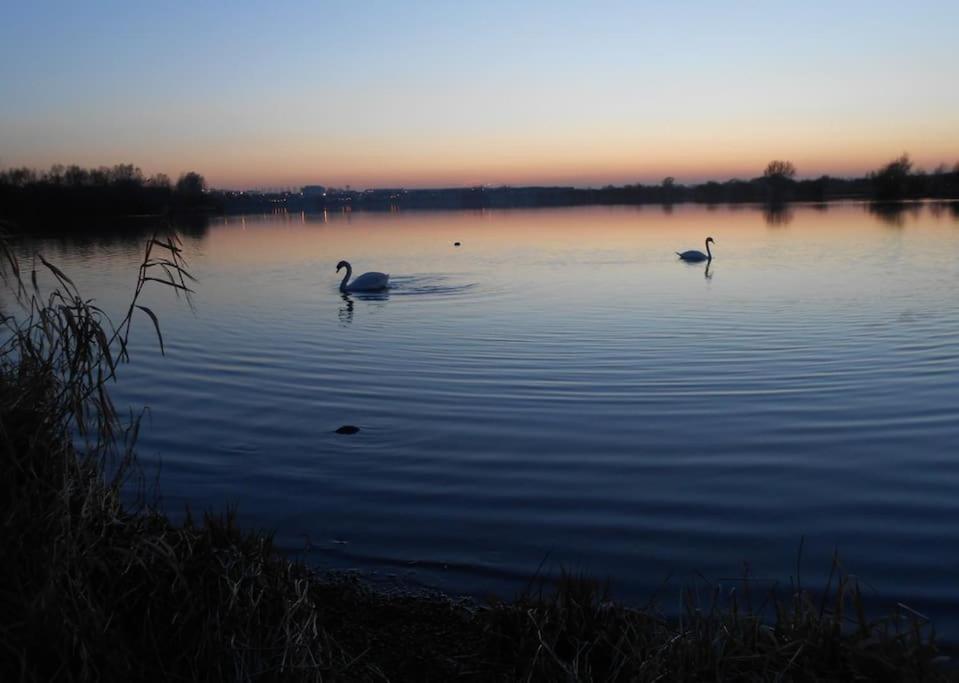 The Lake House: A Delightful And Peaceful Retreat. Derrymacash Eksteriør bilde